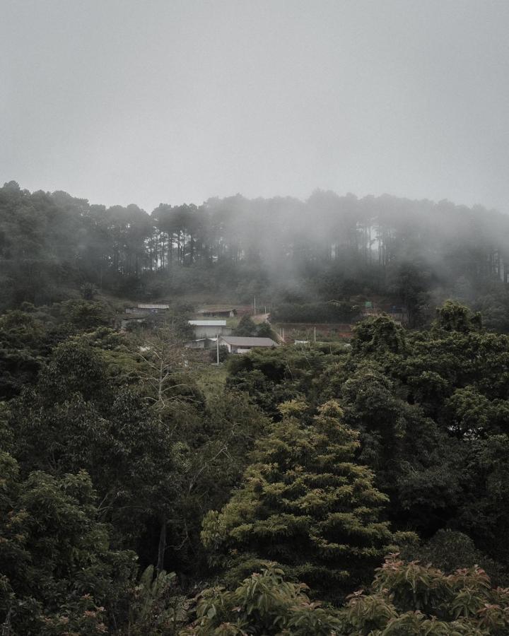 Phu Morinn Camping ม่อนแจ่ม Mon Jam Luaran gambar